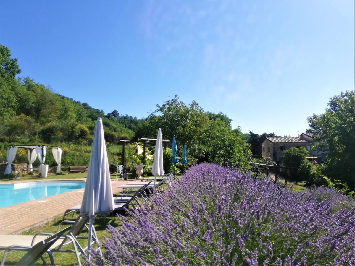 Le Ginestre Apartments אסיסי מראה חיצוני תמונה